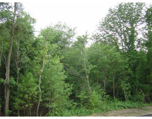 Lot 231 Pleasant Street - Photo 1