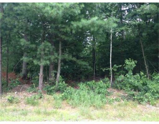 60 Monson Rd - Photo 1