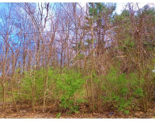 Lot 0 Buckland St. - Photo 1