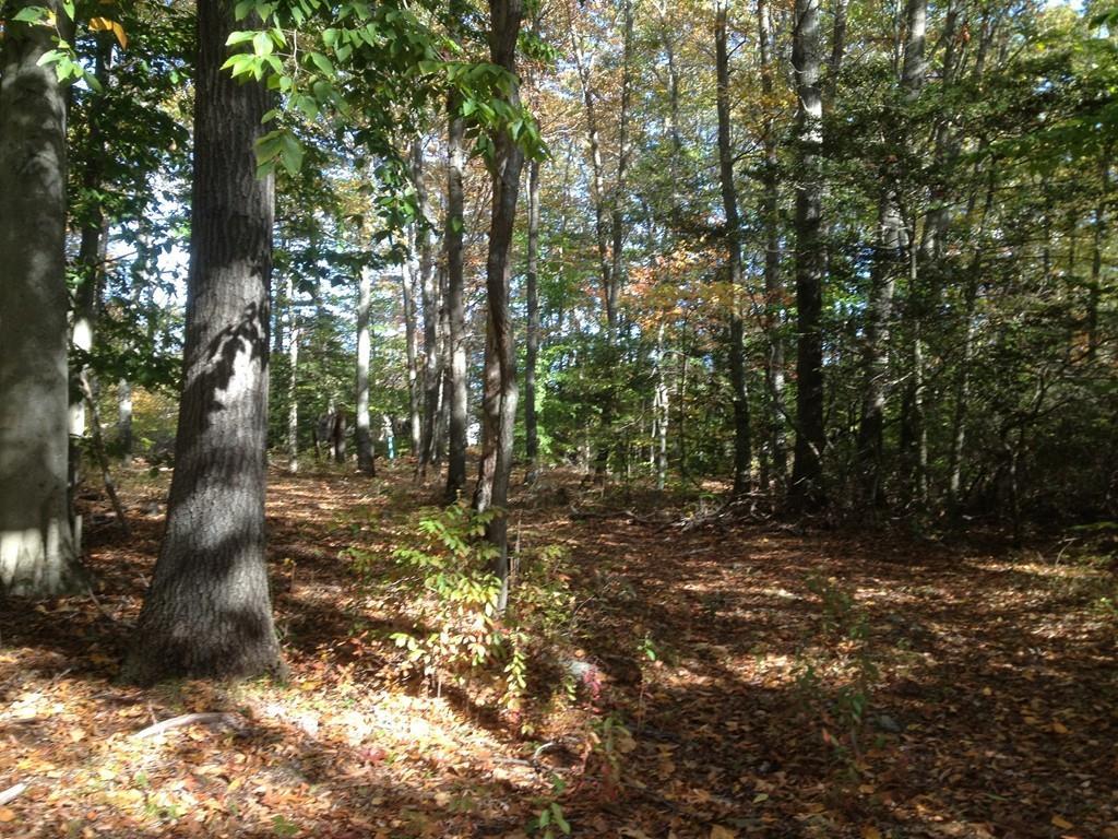 458 Lake Rd - Photo 1