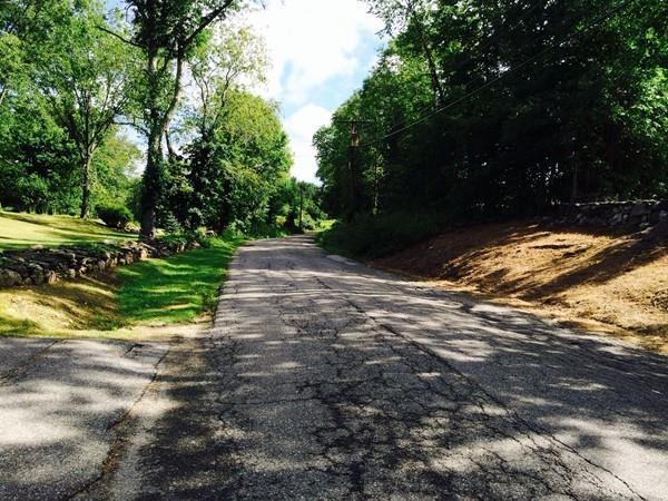 LOT 3R Guelphwood Rd - Photo 1