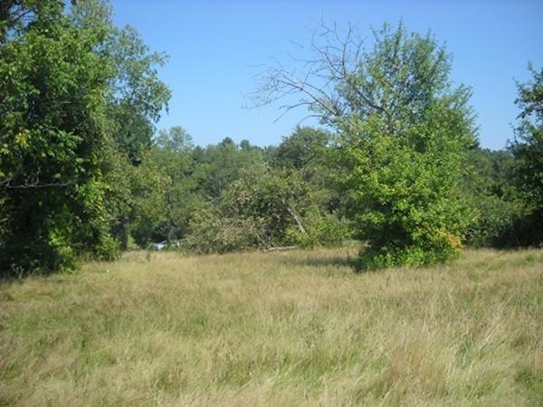 0 Whitaker - Photo 1