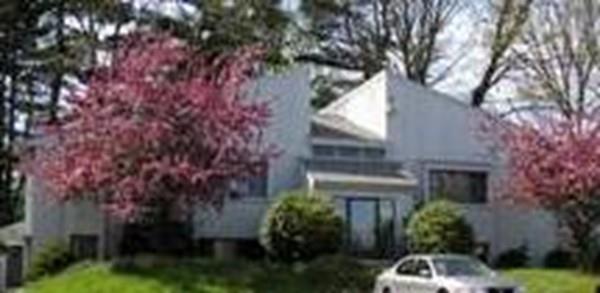1 Survey Circle - Upper Left - Photo 1