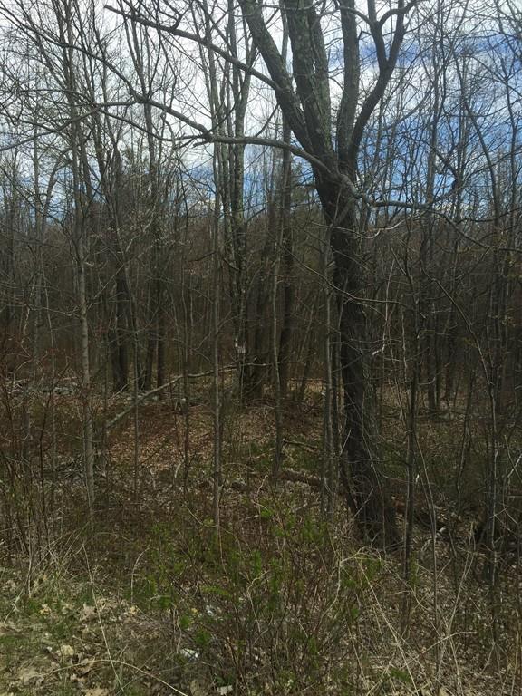 Lot 1 Wachusett Street - Photo 1