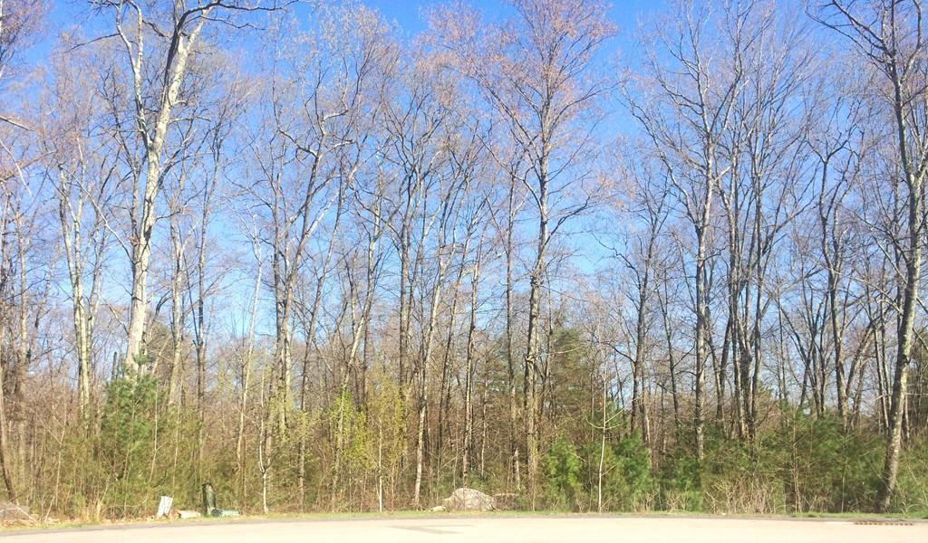 Lot 4 Gervais Way - Photo 1