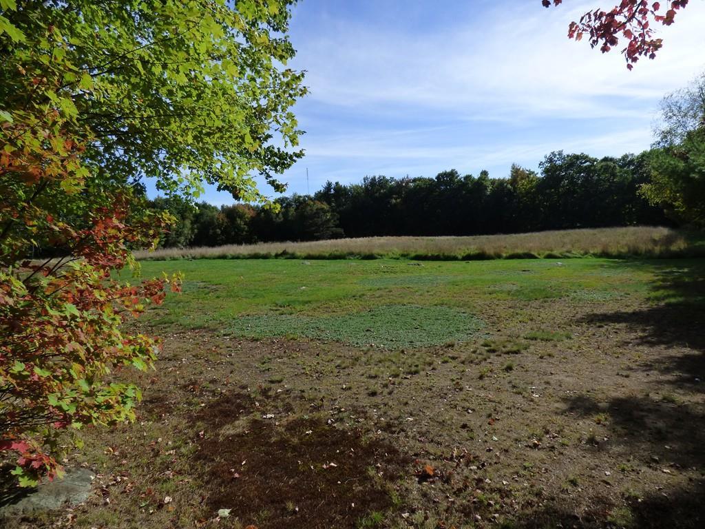 Lot 1 Saunders St - Photo 1