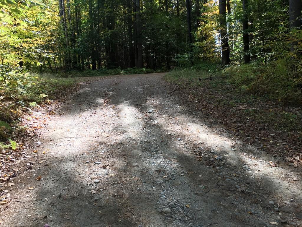 53 Schaefer Way - Photo 1