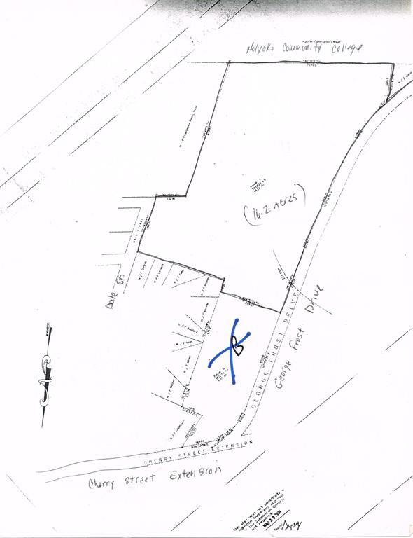 0 George Frost Dr - Photo 1