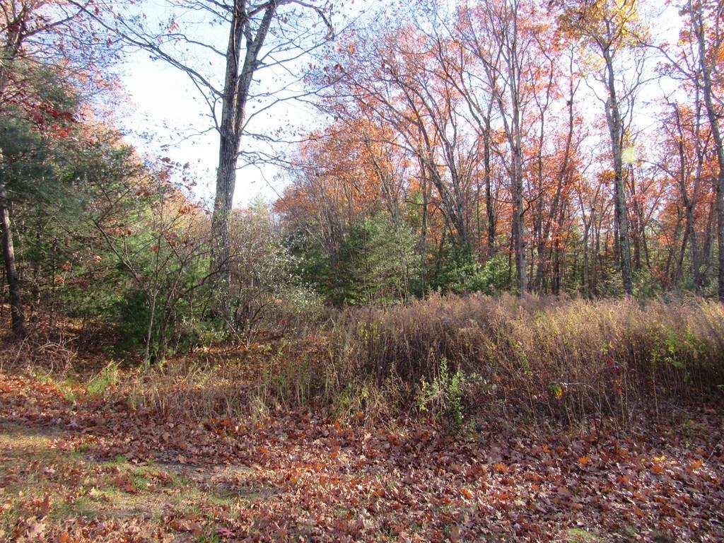 Lot 0 Daniels - Photo 1