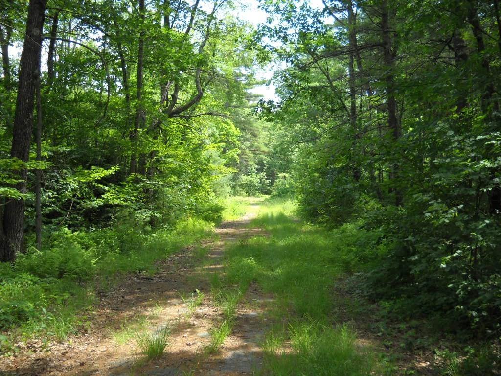 75 Barre Rd - Photo 1