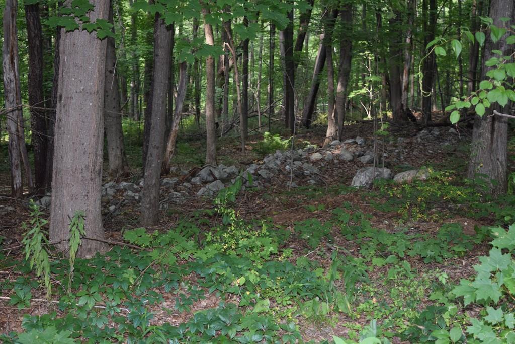Lot 1 Amherst Rd. - Photo 1