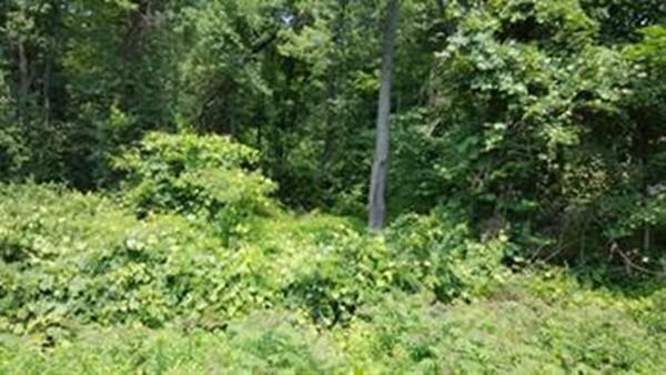 34 Granville Rd - Photo 1