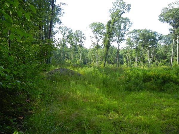 Lot 1 Maple St. - Photo 1