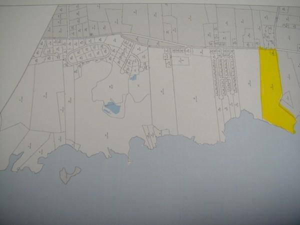 326 Market St - Photo 1
