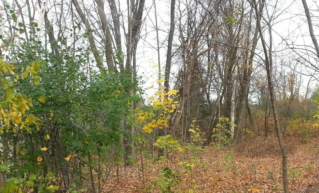 0 Baldwinville Rd - Photo 1
