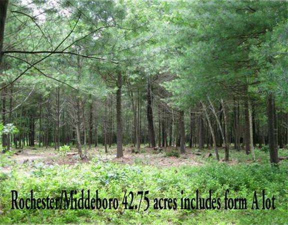 0 Walnut Plain Road - Photo 1