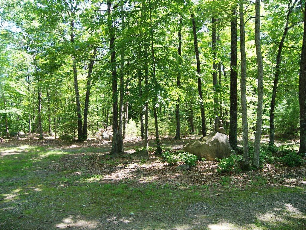 205 Proctor Hill Road - Photo 1