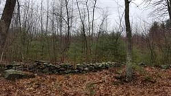 Lot 2 Old Gilbertville Road - Photo 1