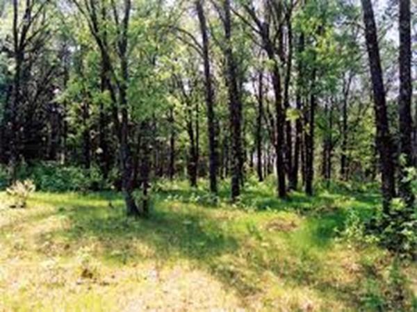 211 Mile Hill Rd - Photo 1