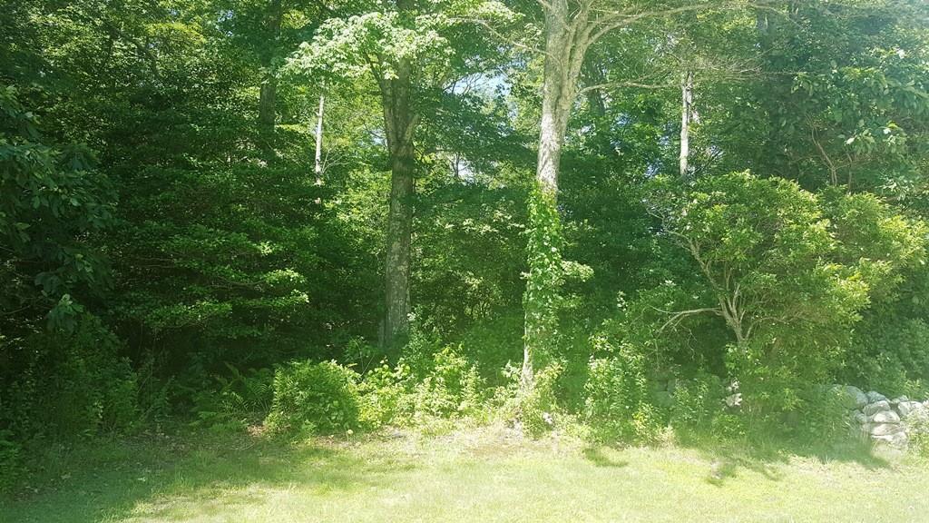 0 Old Harbor Rd - Photo 1