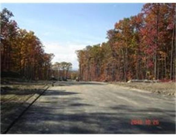 Lot 30 Autumn Ridge Road - Photo 1