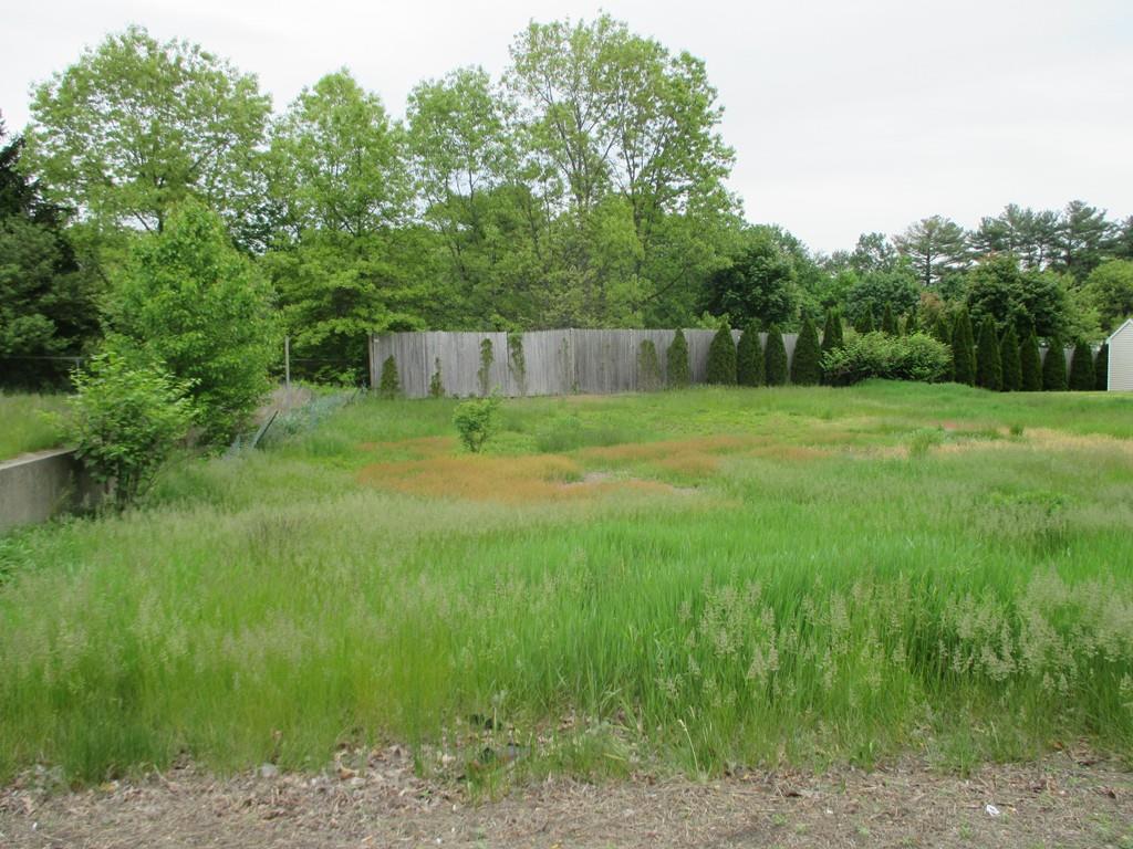 119 lot C Thompson Road - Photo 1