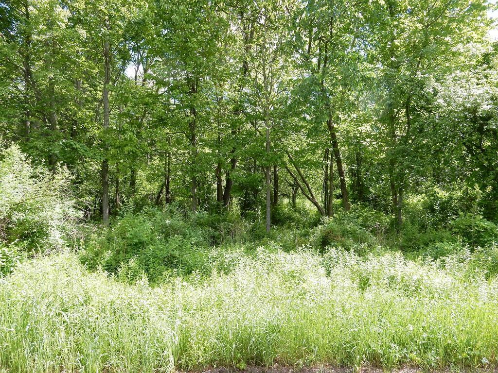 132 Poor Farm Road - Photo 1