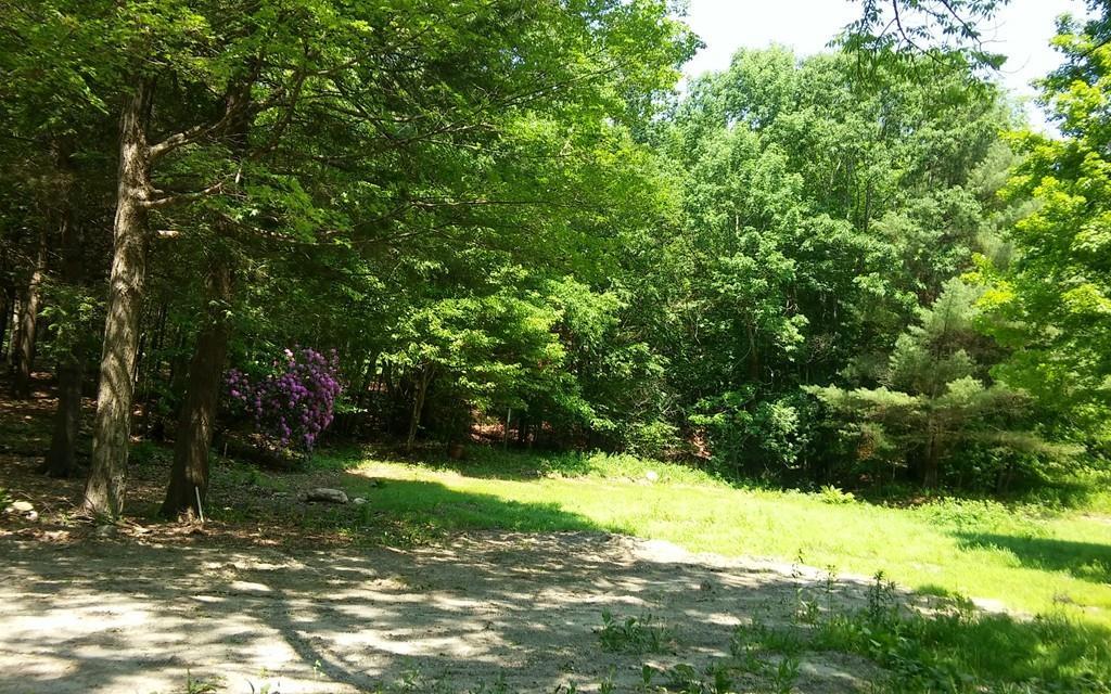 164 Chipman - Photo 1
