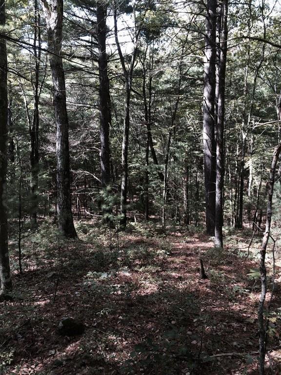 Lot A Merriam Rd - Photo 1