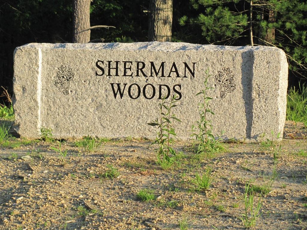 Lot 6 Wrights Way - Photo 1