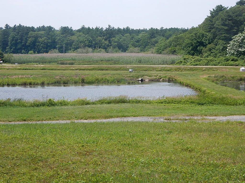 Lot 11D Dexter Ln - Photo 1