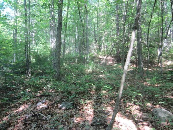 Lot 8A Summit Street - Photo 1