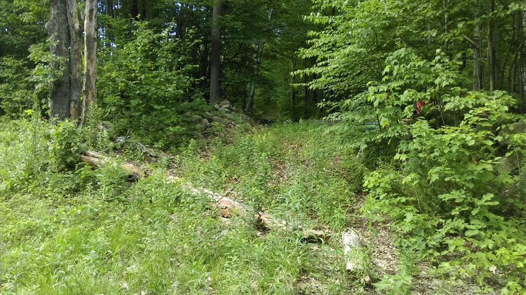 1012 Main Rd - Photo 1