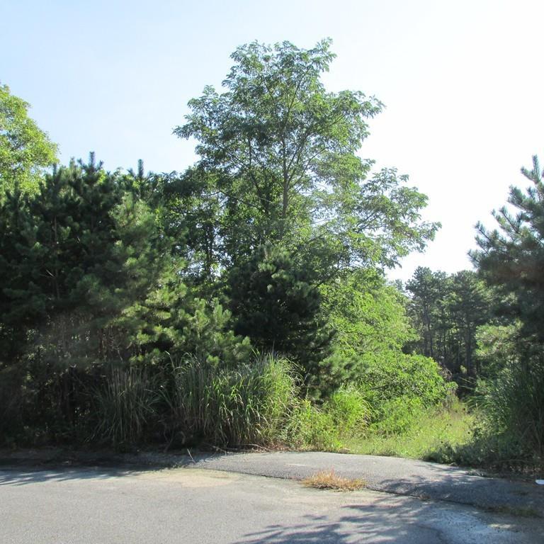0 Sorrel Cir L:111 - Photo 1