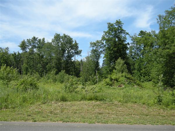 Lot 18 Jerad Drive - Photo 1