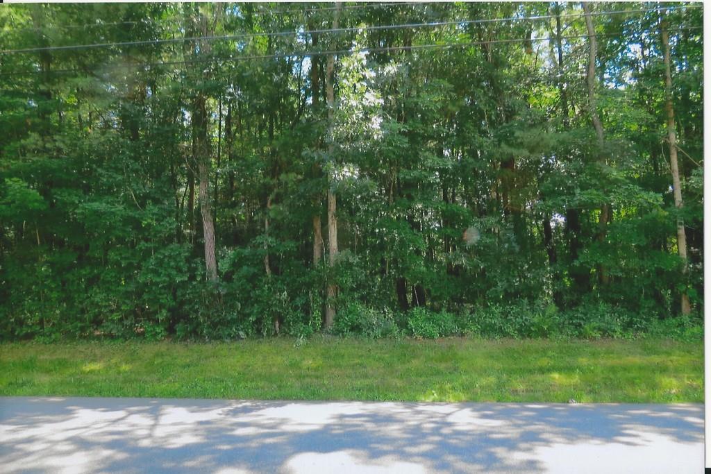 Lot 30 Dry Hill Road - Photo 1