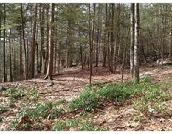 262 North Rd - Photo 1