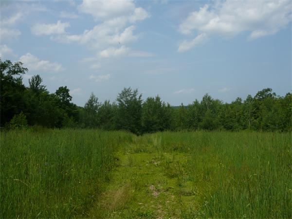 0 Gibson Road - Photo 1