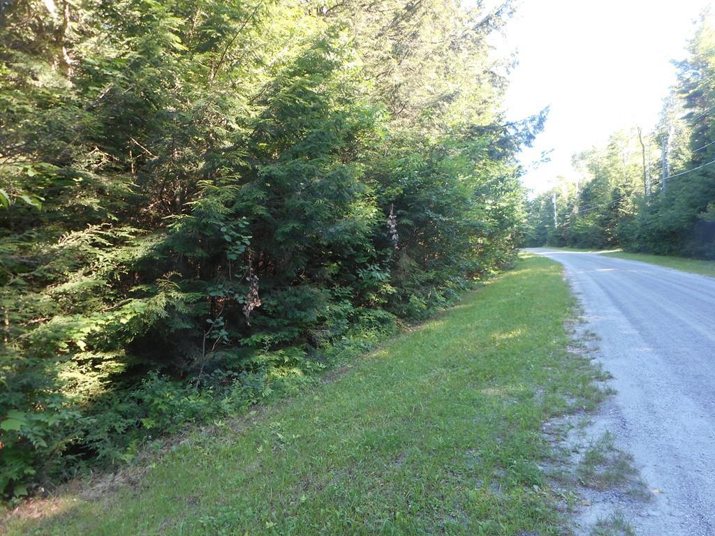 Lot 40.5 Stoney Brook Rd - Photo 1