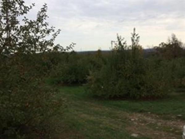 0 Pearl Hill Road/Kendall Road - Photo 1