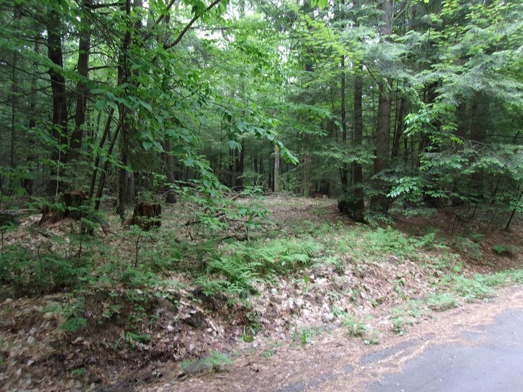 Lot 2 Vine St - Photo 1