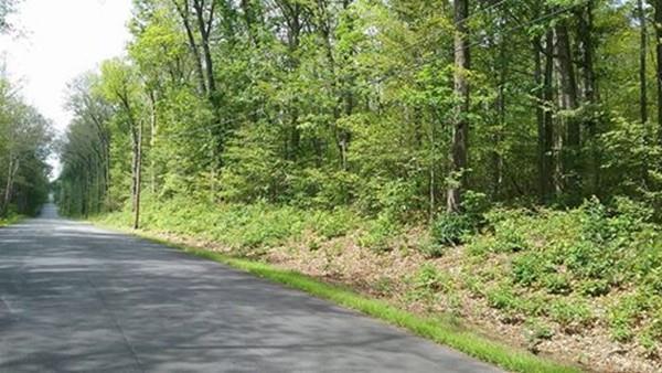 X0 Mihaliak Rd - Photo 1