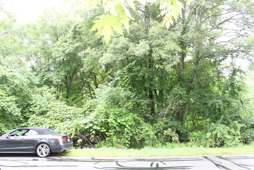 268Rear Carver Street - Photo 1