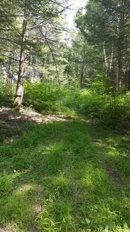 0 Chestnut Hill Road - Photo 1
