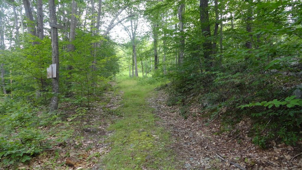 Lot 1 Valley Road - Photo 1