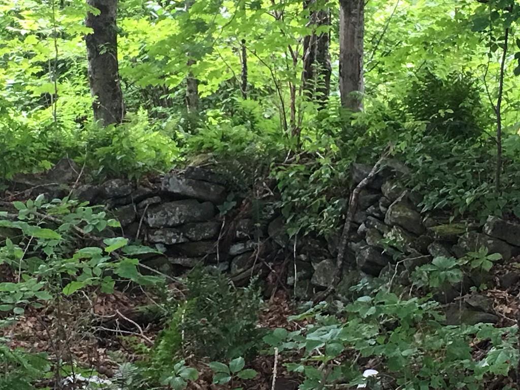 Lot 1 Ranney Corner Rd - Photo 1