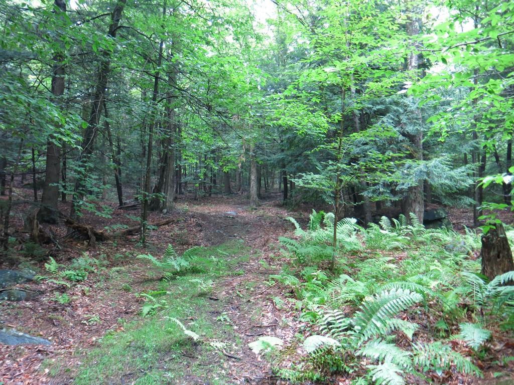 1, 2A &2B Spruce Corner Rd - Photo 1