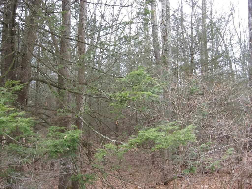 Lot 121 West Pelham Rd - Photo 1
