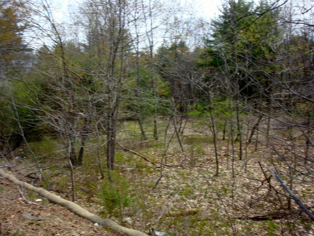 Lot 6 Southbridge Street - Photo 1