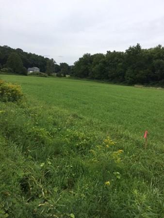A-2 Fowler Road - Photo 1